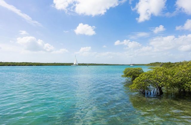 Lagoa de Codrington