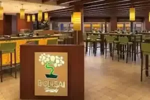 Bonsai Sushi