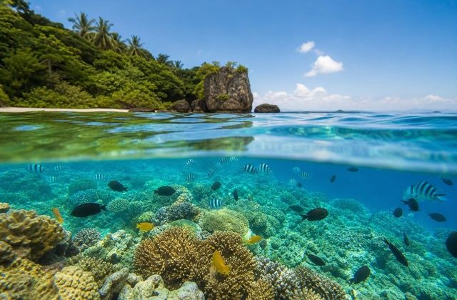 Snorkeling