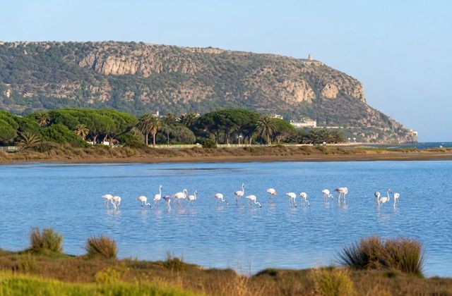 Cagliari