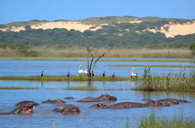 Parque das Zonas Húmidas de iSimangaliso