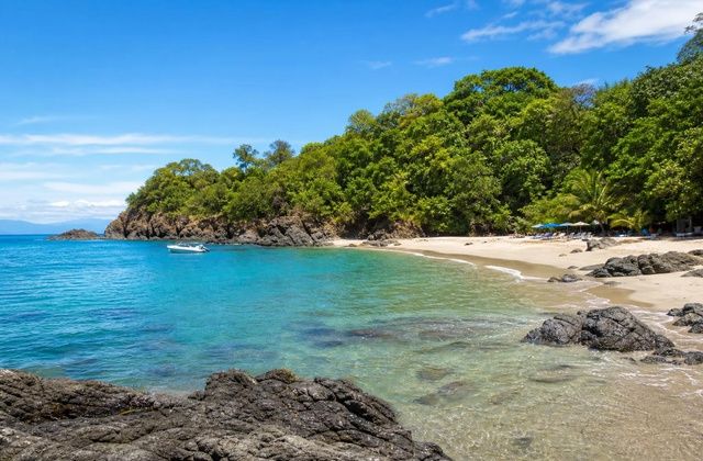 Ilha Tortuga