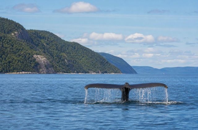 Tadoussac