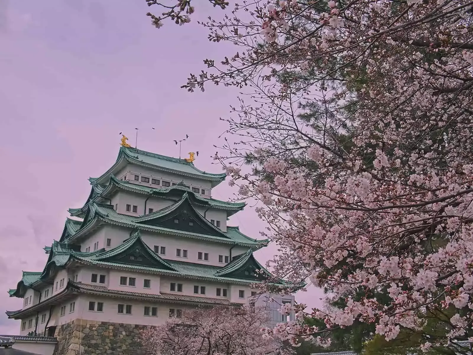 Nagoya