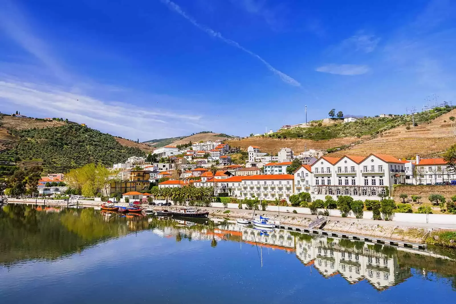 Pinhão