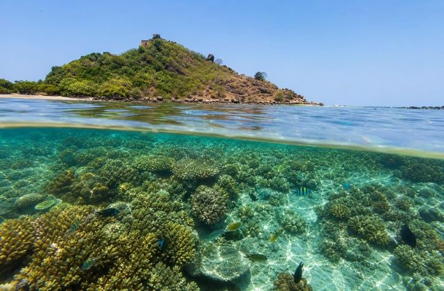 Pigeon Island