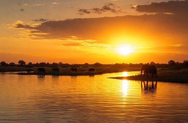 Pôr do sol sobre o Chobe
