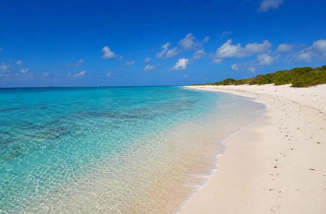 Loblolly Bay