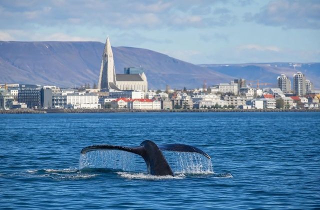 Reykjavík