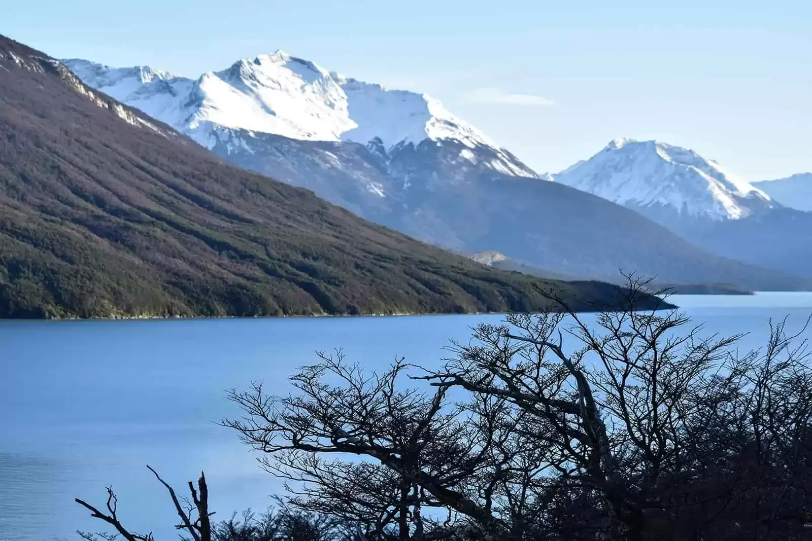 Glaciar Amalia Canal Sarmiento