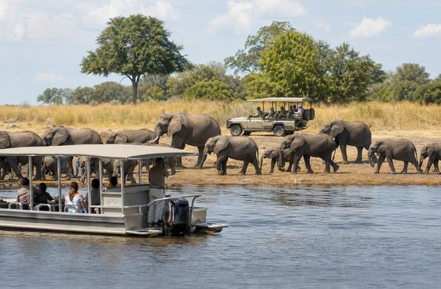 Parque Nacional de Chobe
