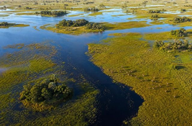 Voo panorâmico sobre o Okavango