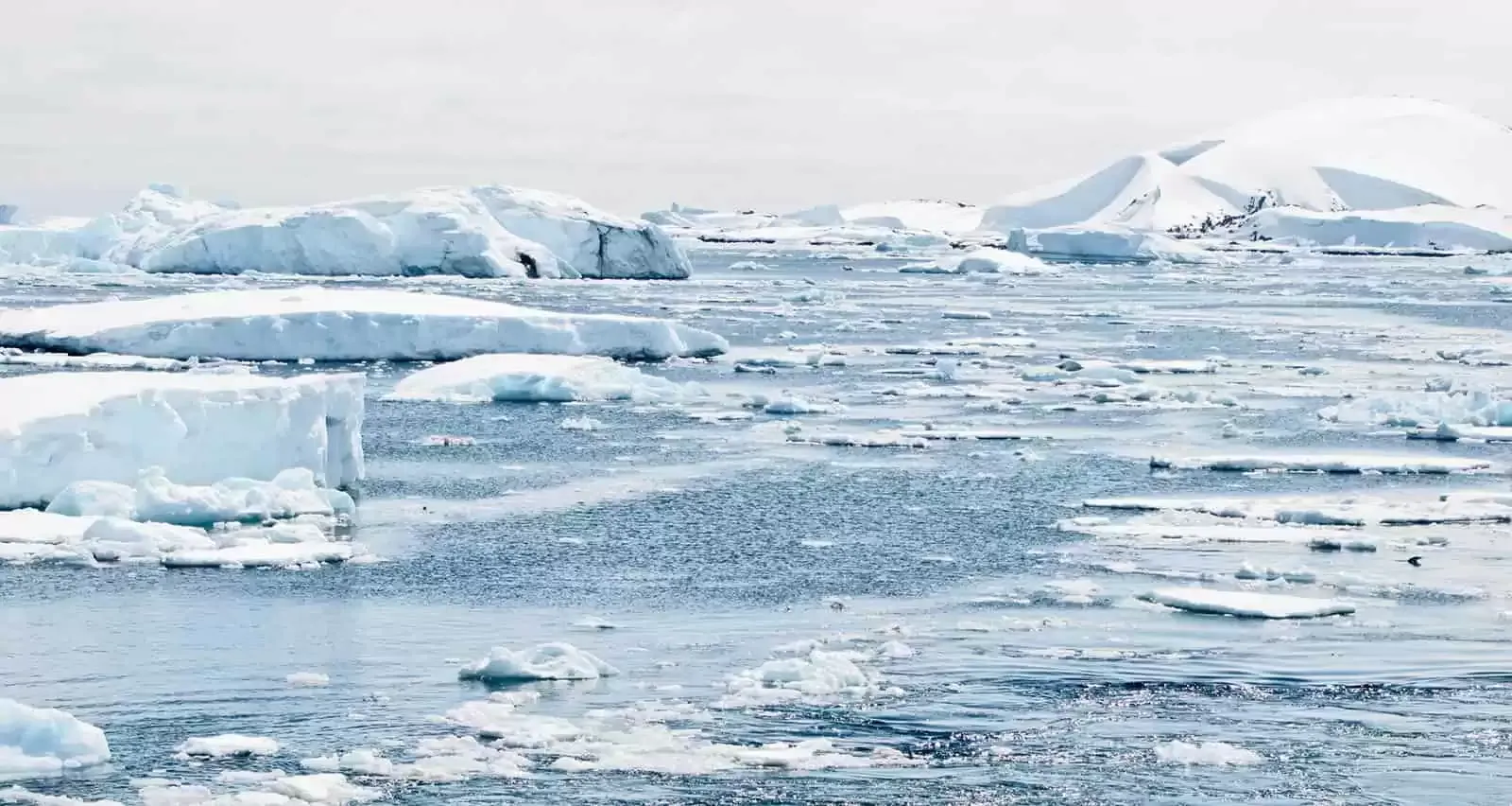Circulo Polar Artico