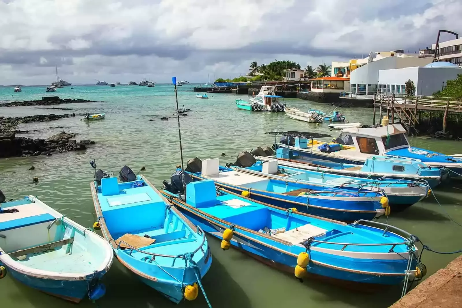 Puerto Ayora