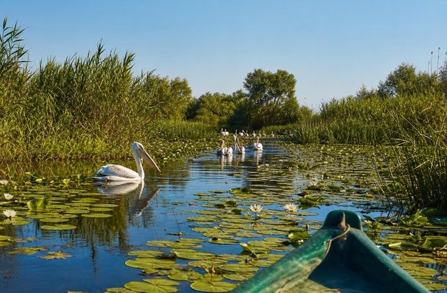 O delta do Danúbio numa pequena embarcação