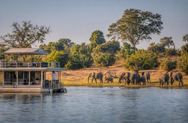 Navegação junto ao Parque Nacional de Chobe