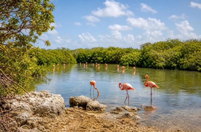 Lagoa dos Flamingos