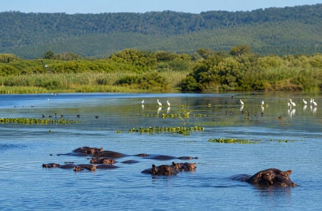 No iSimangaliso Wetland Park