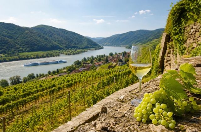 Vinhos da Wachau