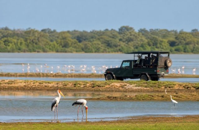 Parque Nacional de Bundala