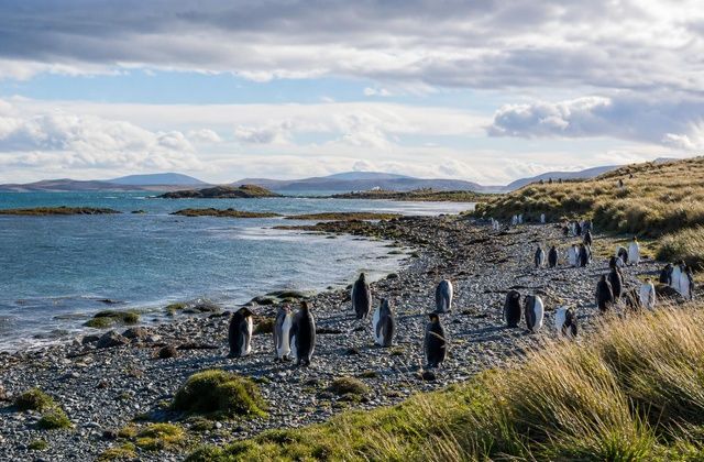 Malvinas