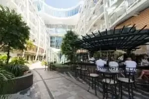 Bar Trellis