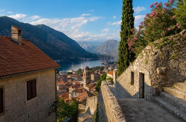 Kotor