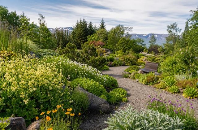 Jardim Botânico de Akureyri
