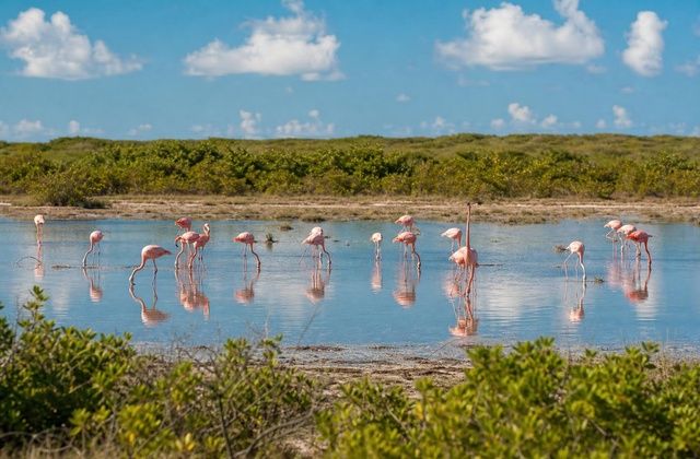 Lagoa dos Flamingos