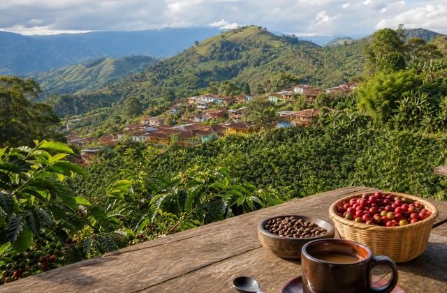 Zona de café