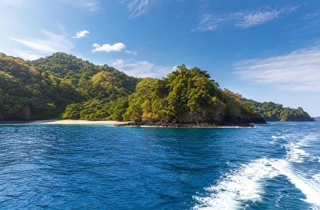 No golfo de Nicoya