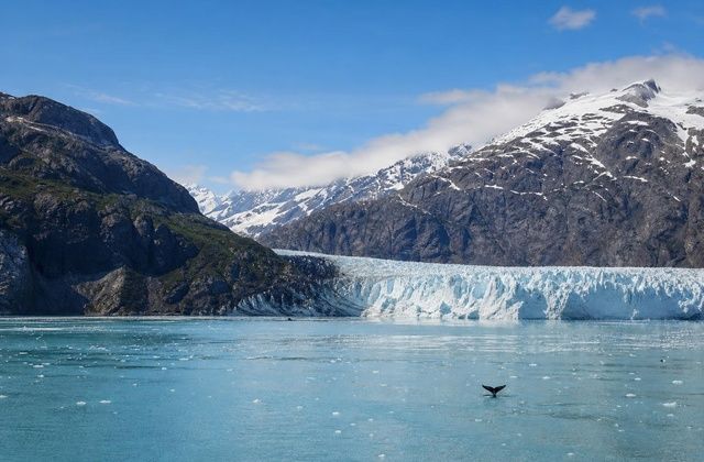 No Glacier Bay