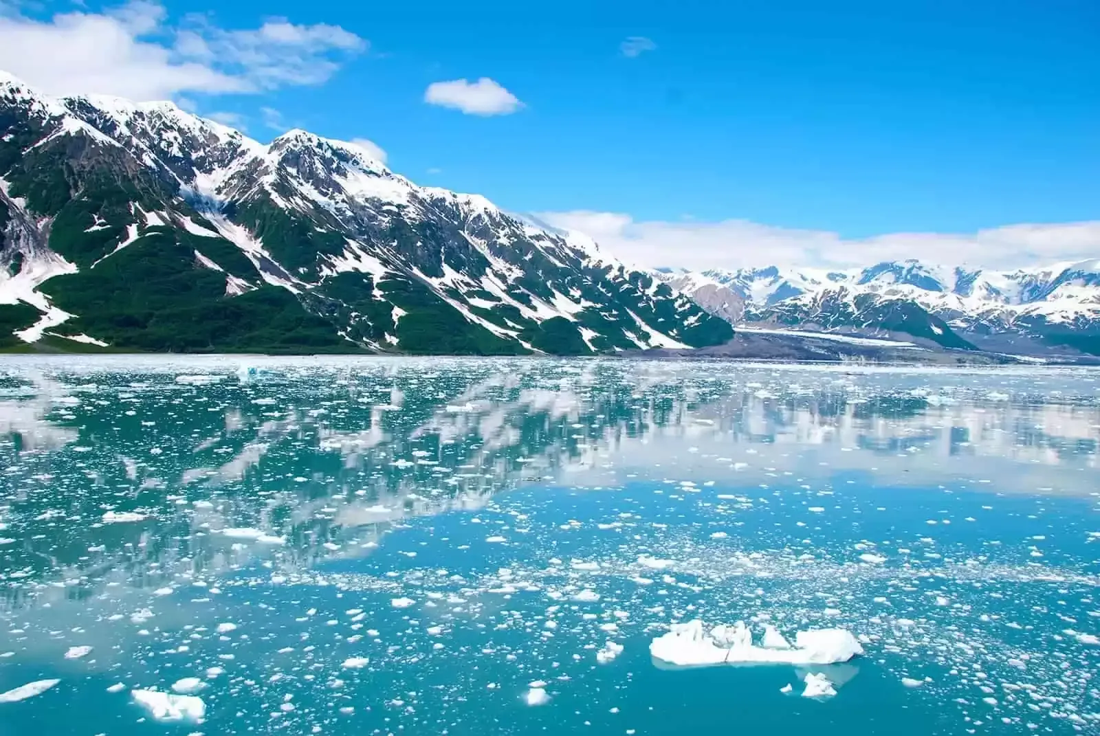 College Fjord