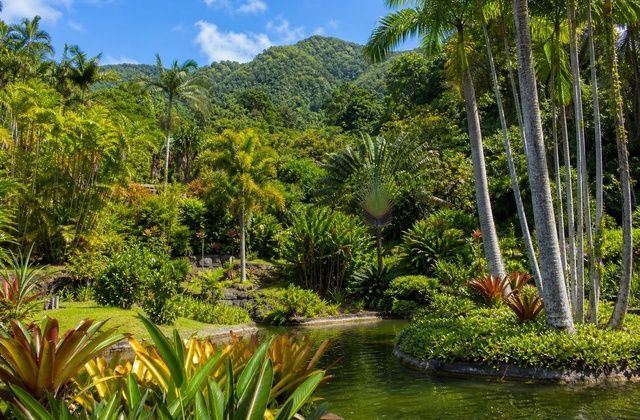 Jardim de Balata