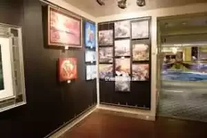 Vista Gallery