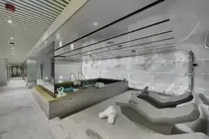 MSC AUREA SPA