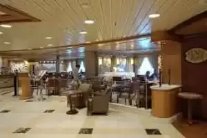 Bar Vines