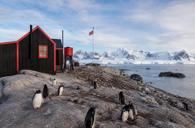 O «Penguin Post Office» de Port Lockroy