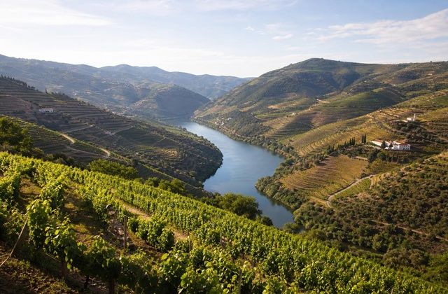 Vale do Douro