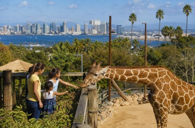 San Diego