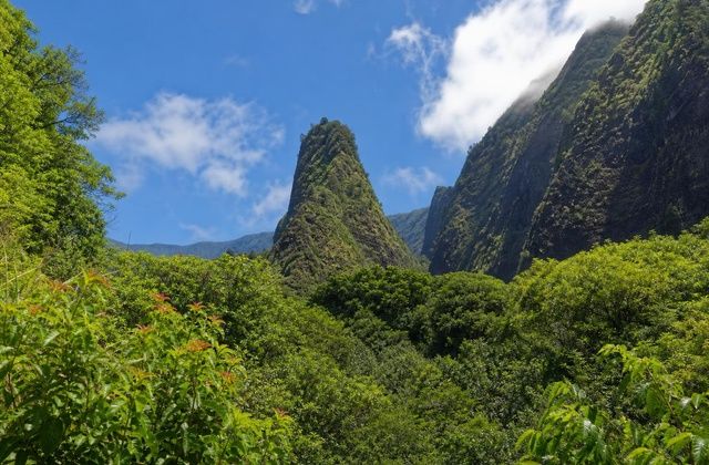 Em Maui