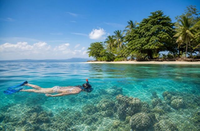 Ilha dos Porcos
