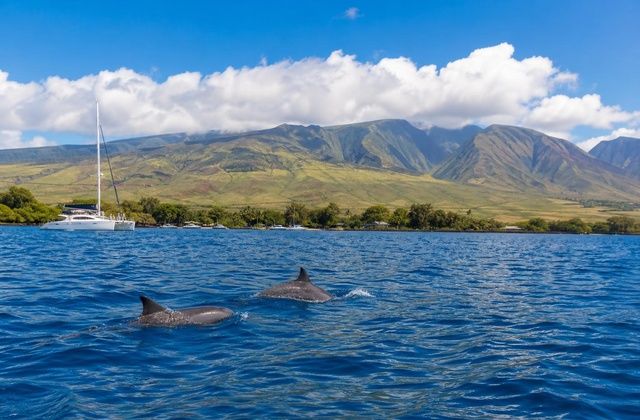 Maalaea