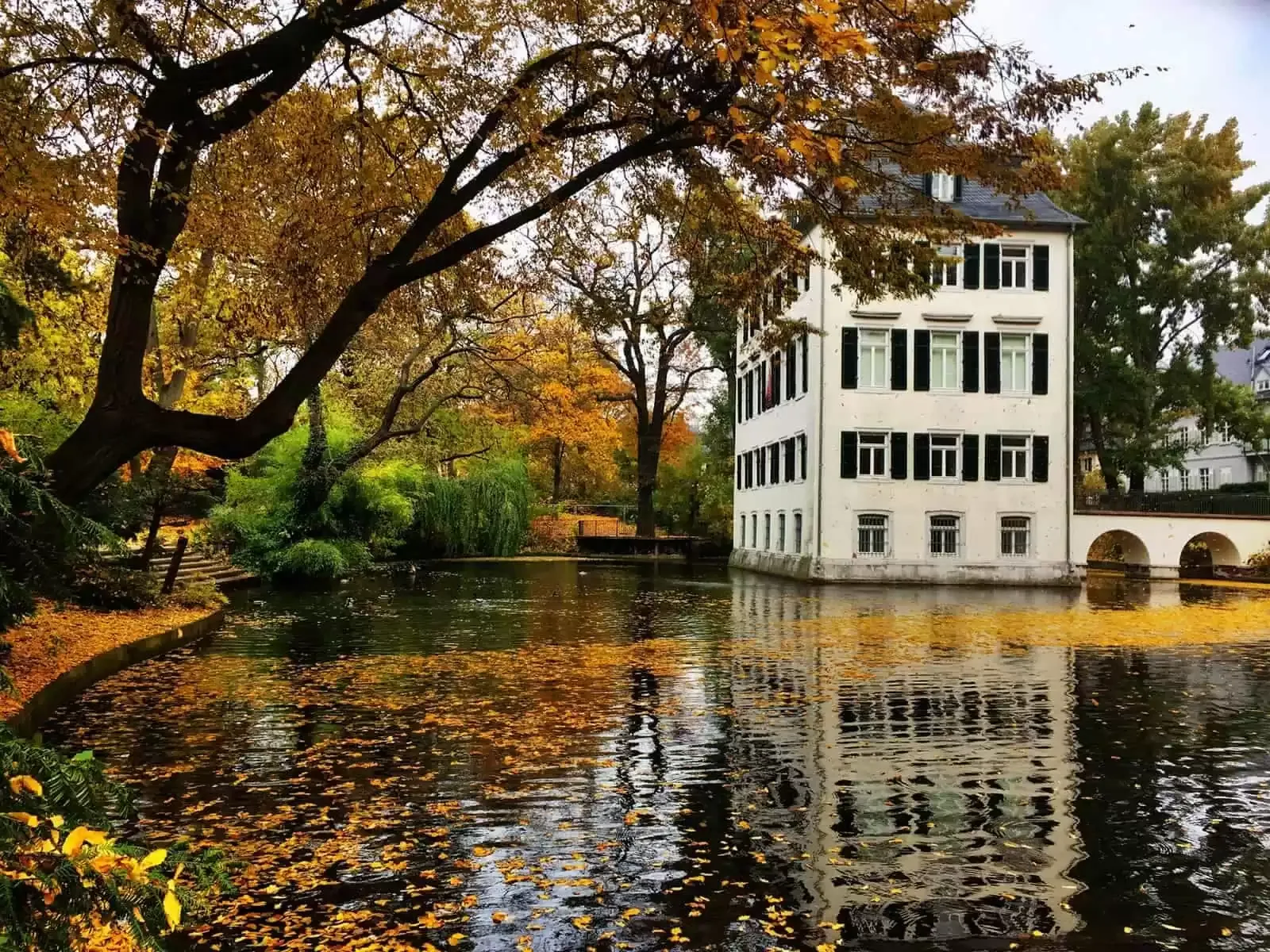 Frankfurt