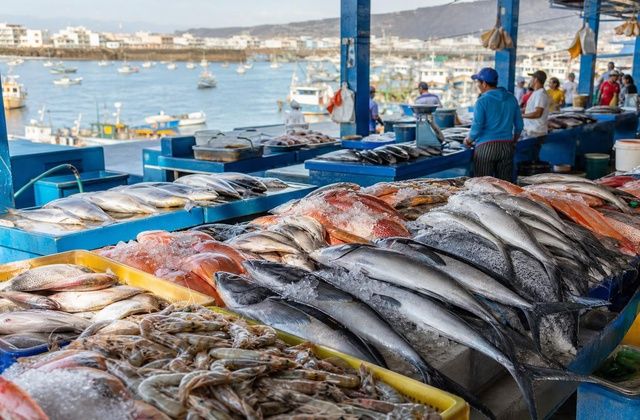Mercado de peixe de Manta