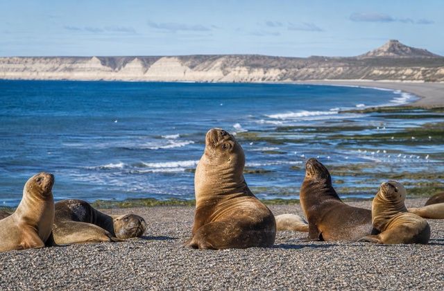 Em Puerto Madryn