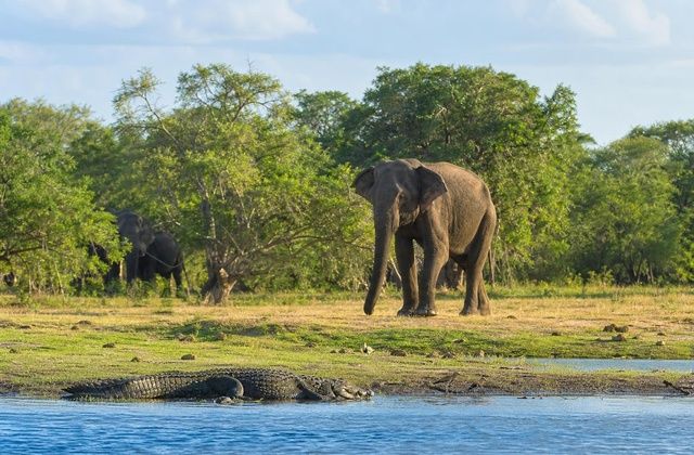Parque Nacional de Yala