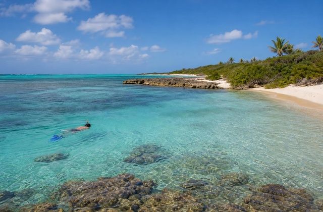 Loblolly Bay