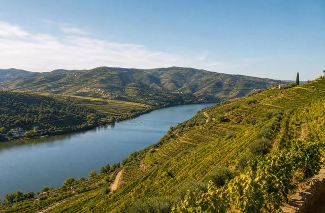 Vale do Douro
