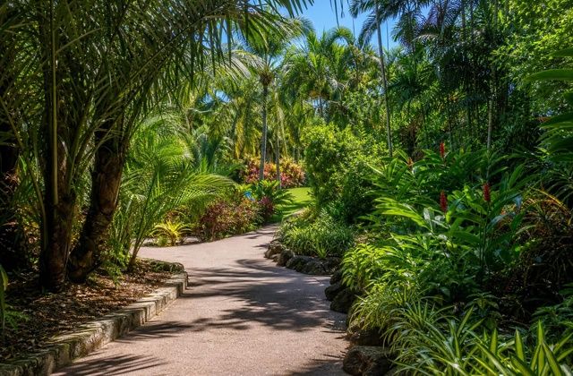 Jardins Botânicos das Bermudas